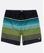 Бордшорты Billabong All Day