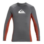 Лайкра для серфинга Quiksilver Everyday UPF50 LS Iron Gate